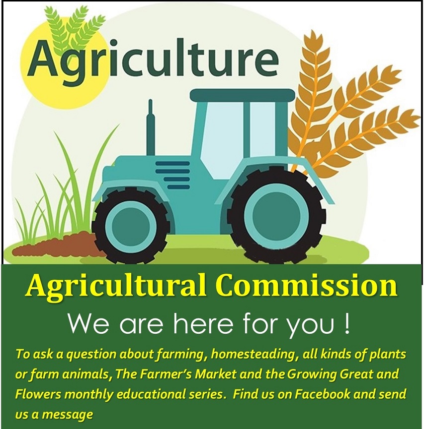 AG FB flyer