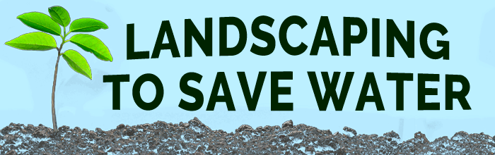 Landscaping to save water.