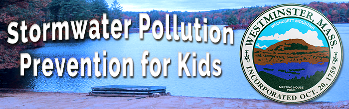 Crocker Pond - Stormwater Pollution Prevention for Kids