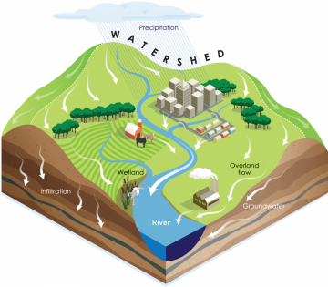 Image of a watershed