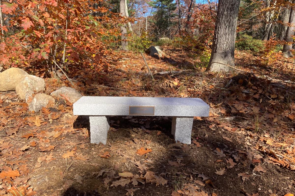 Hager Park Donna Brownell Bench