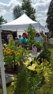 farmer market