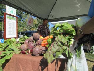 vegetables