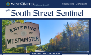 newsletter logo