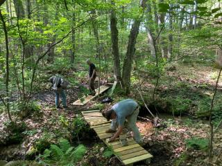 Trail Maint day