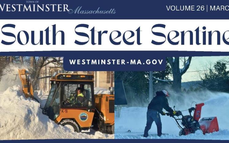 newsletter cropped graphic