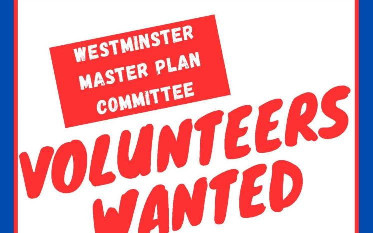 volunteers wanted - Master Plan